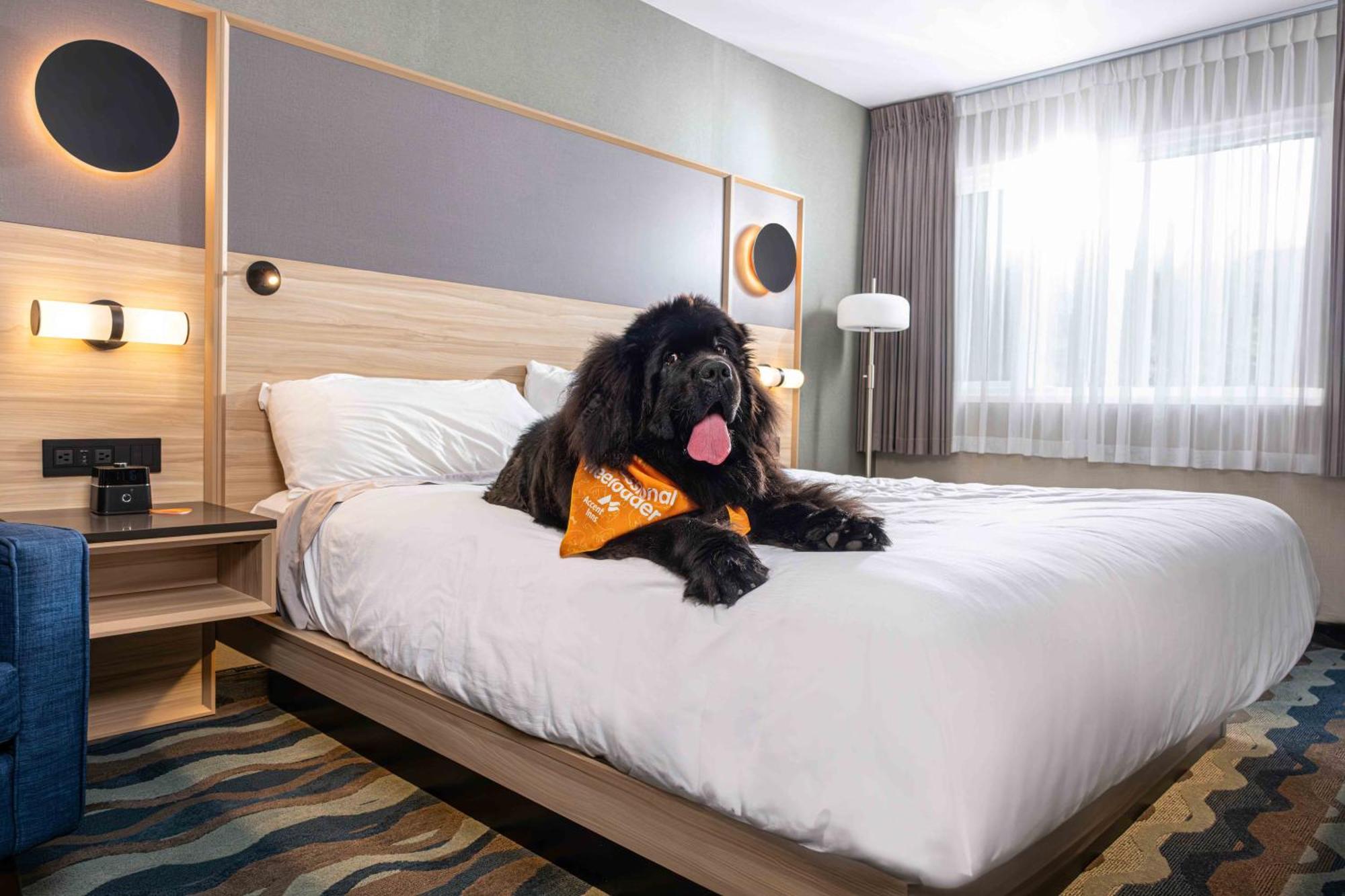 Accent Inns Vancouver Airport Richmond Kültér fotó