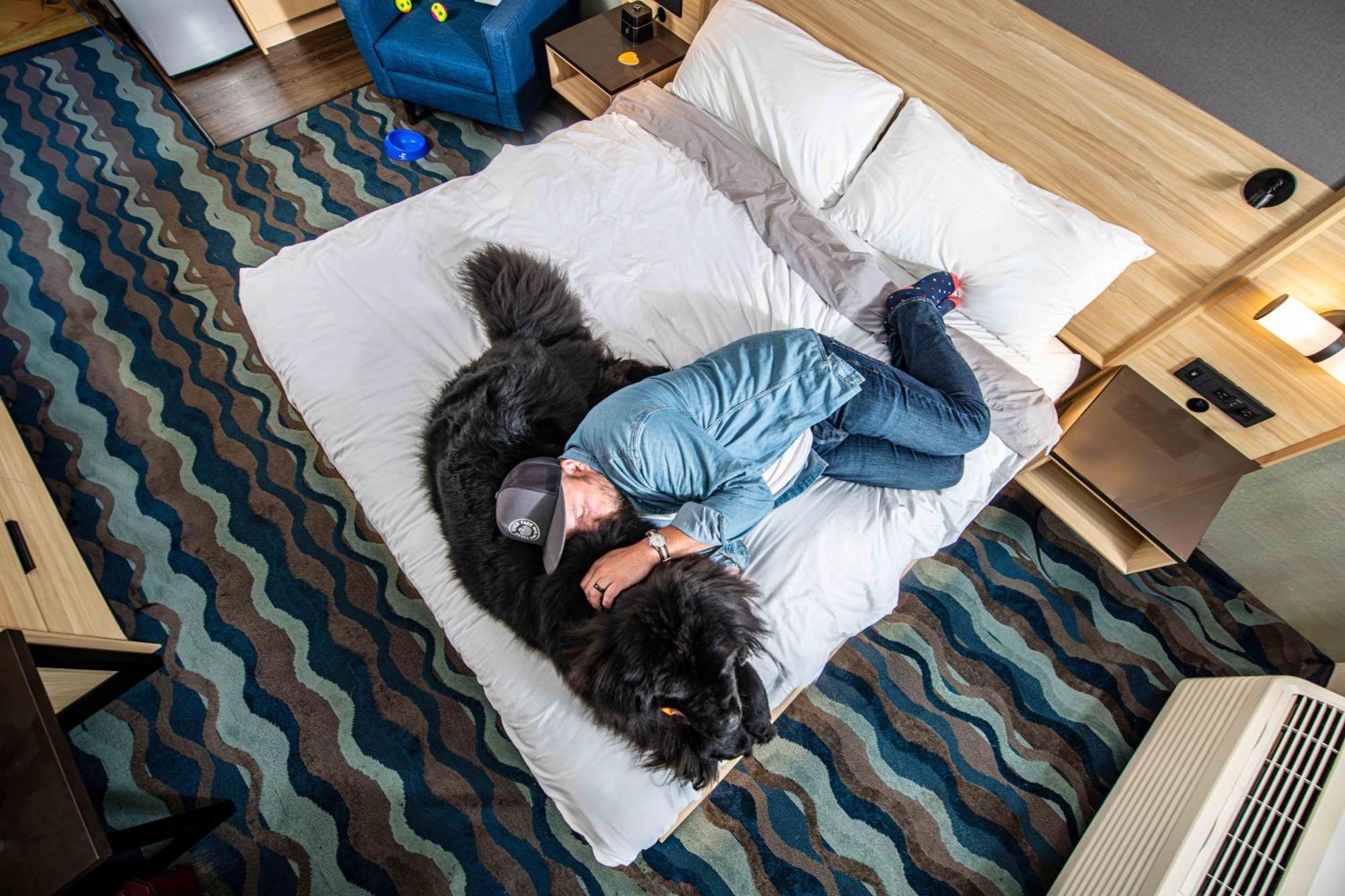 Accent Inns Vancouver Airport Richmond Kültér fotó