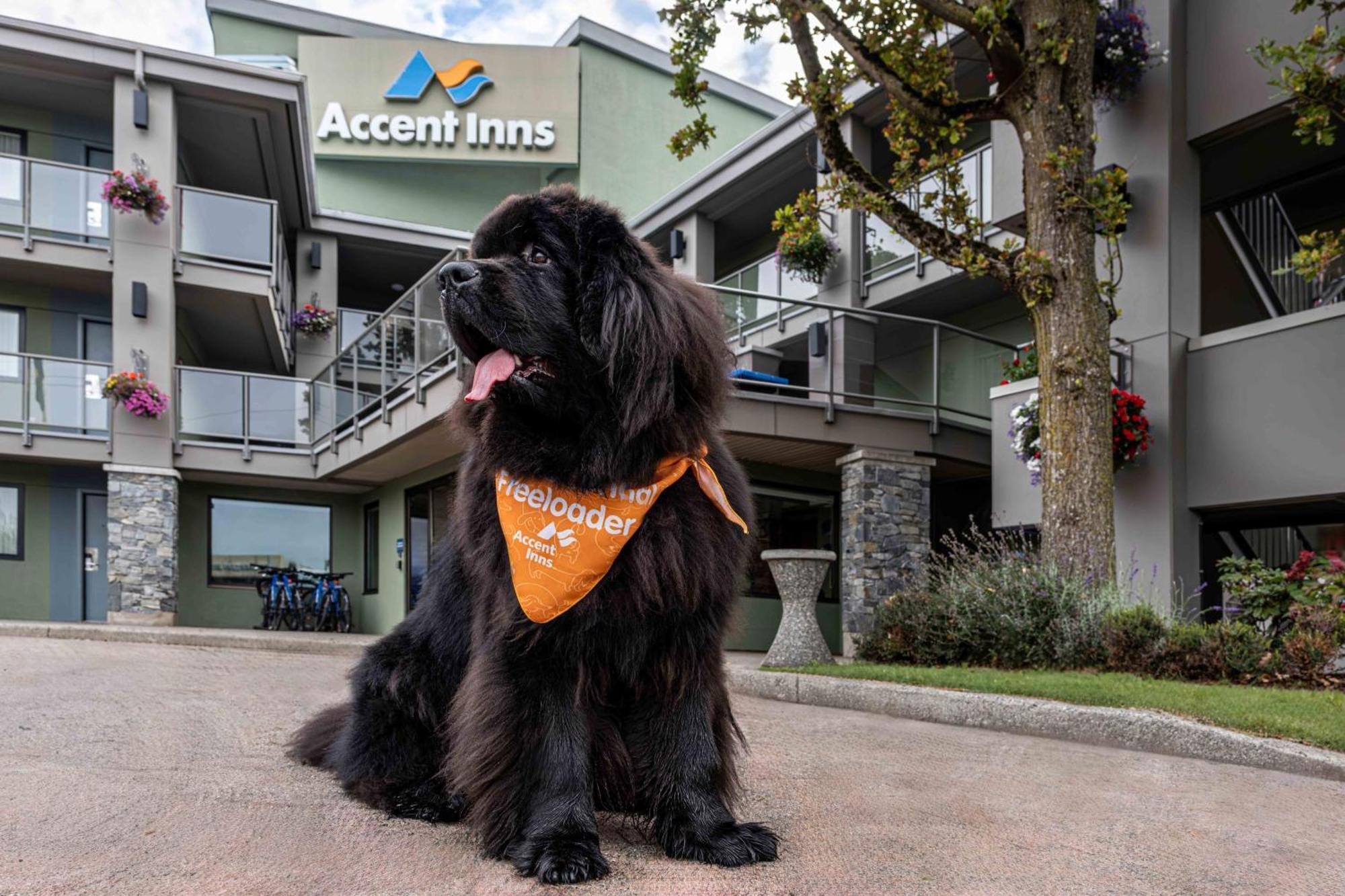 Accent Inns Vancouver Airport Richmond Kültér fotó